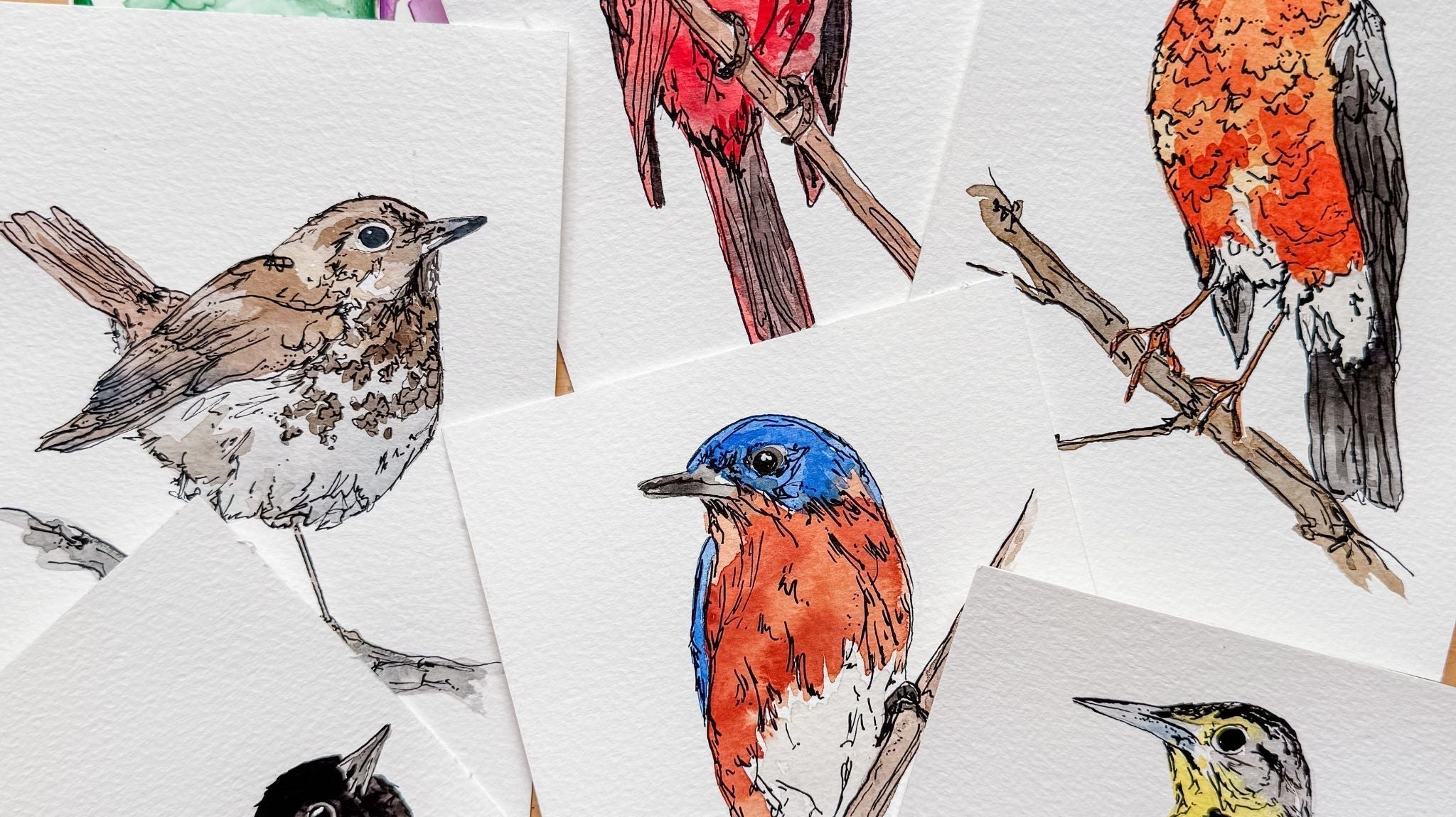 Introducing the Songbird Collection: Art for Backyard Bird Lovers