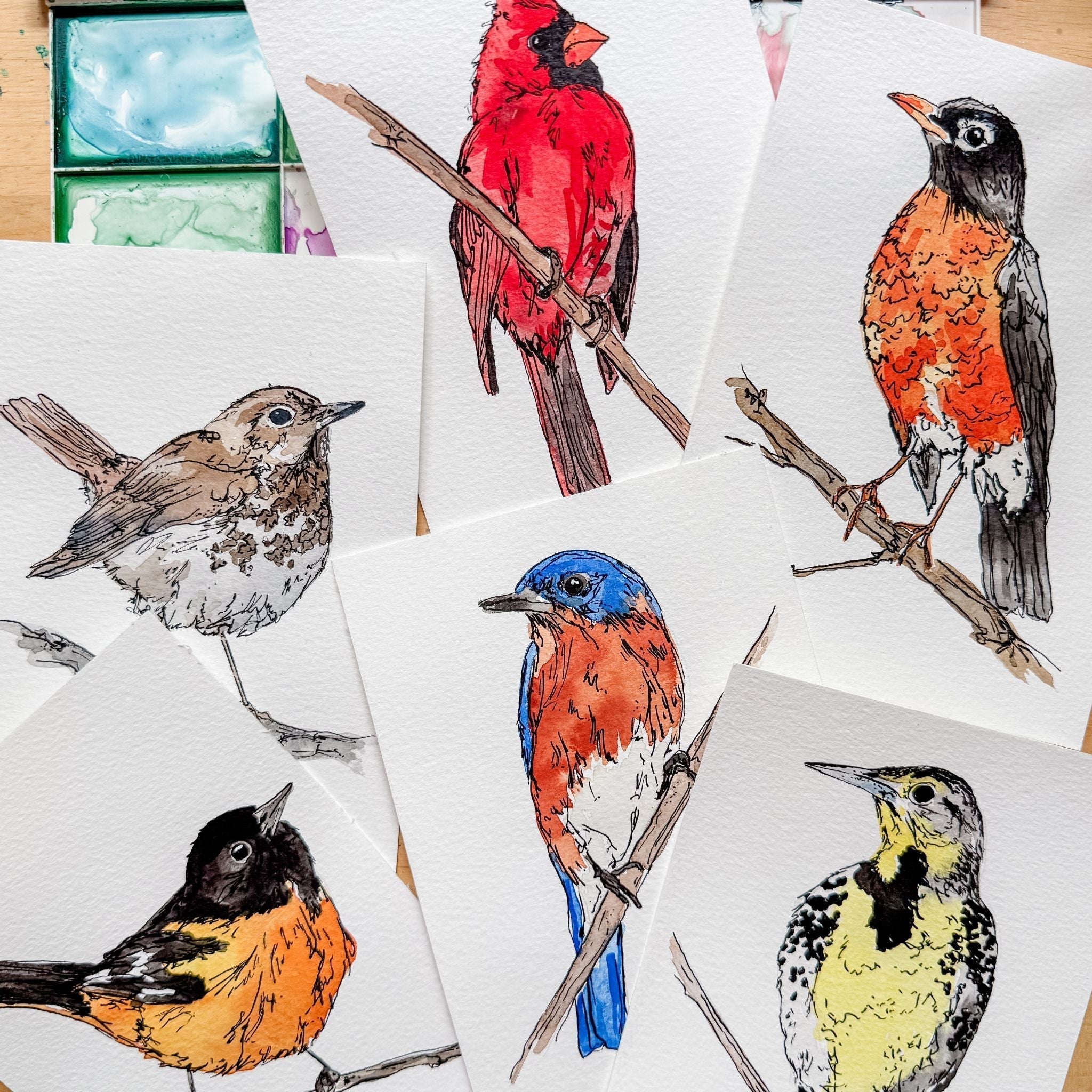 Introducing the Songbird Collection: Art for Backyard Bird Lovers