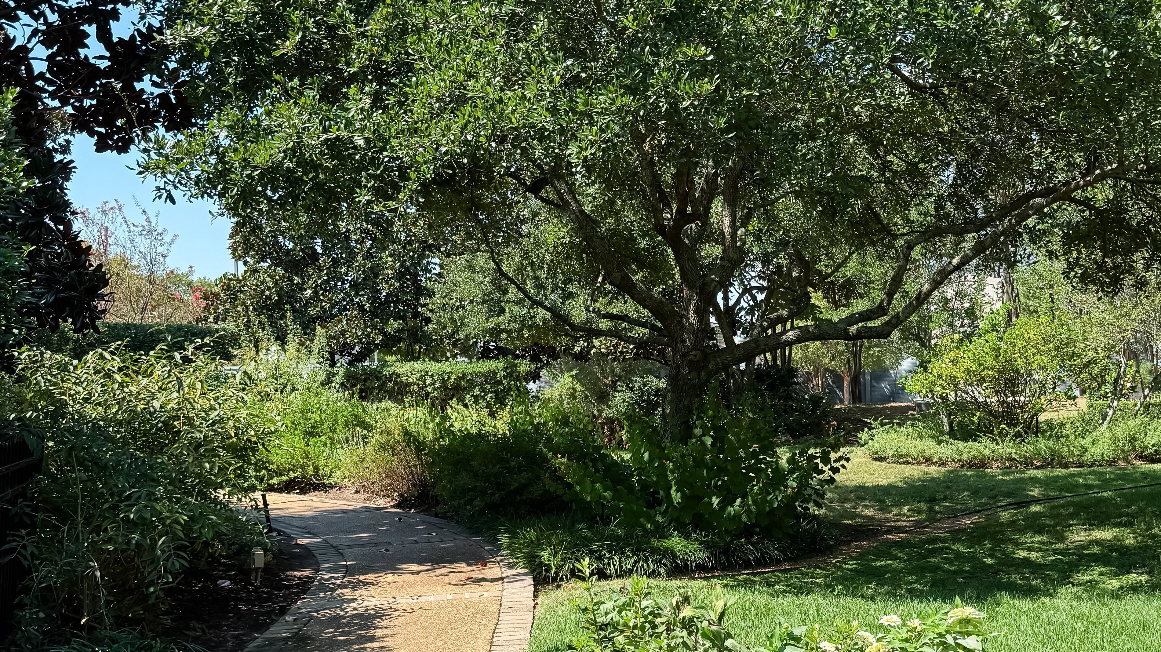 September Reflections: Finding Peace, Art, and Little Joys