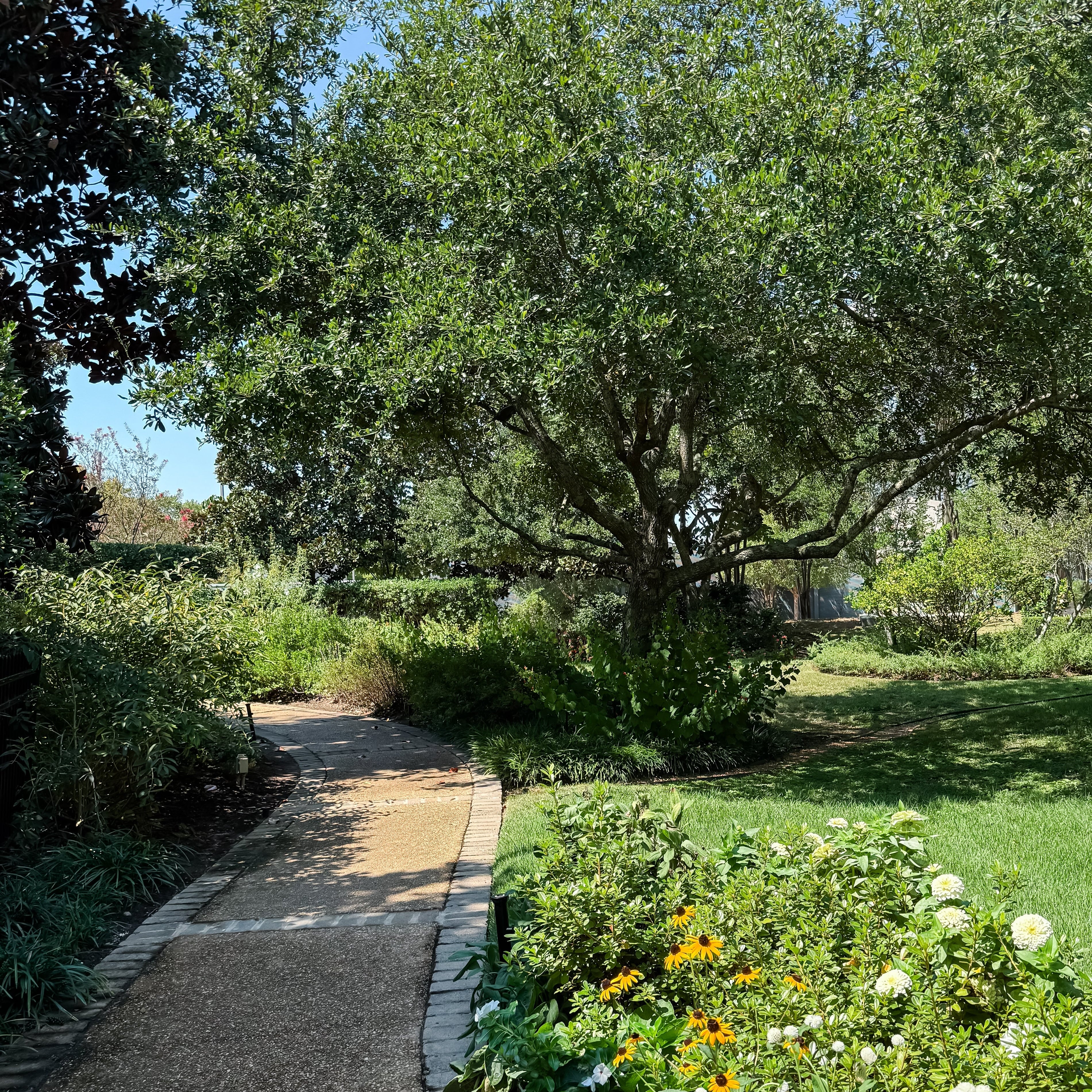 September Reflections: Finding Peace, Art, and Little Joys