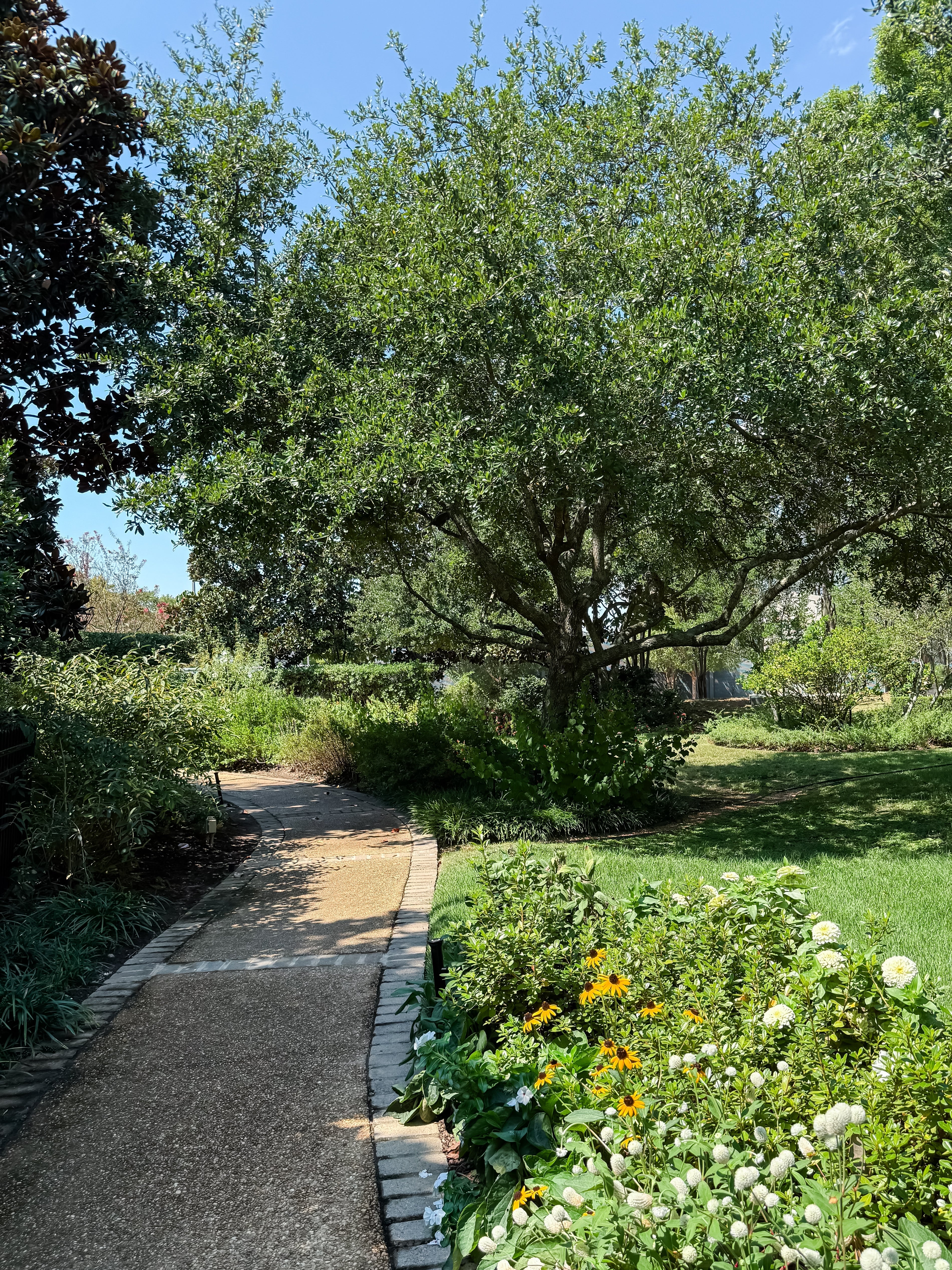 September Reflections: Finding Peace, Art, and Little Joys