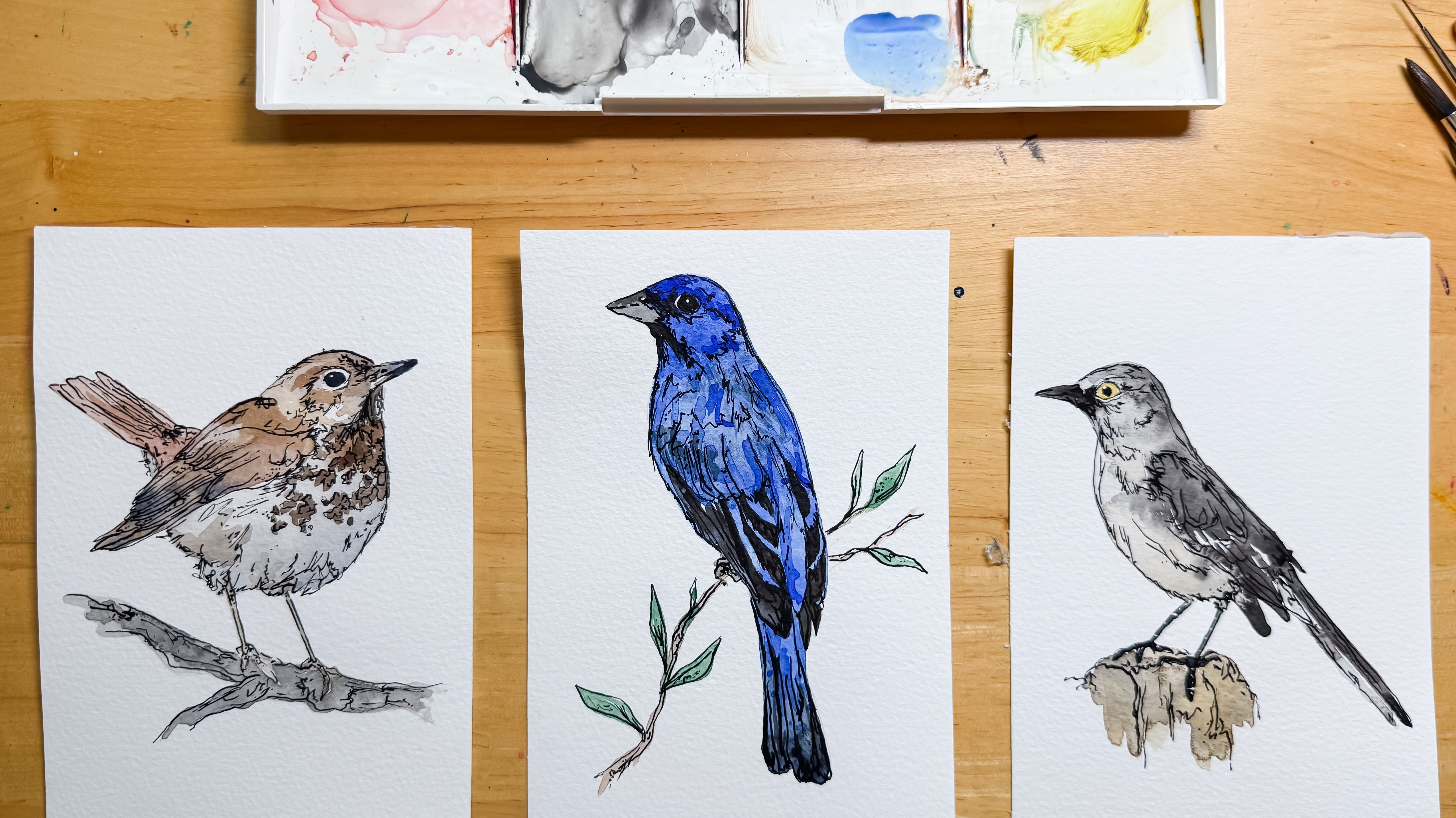 Song Birds artwork