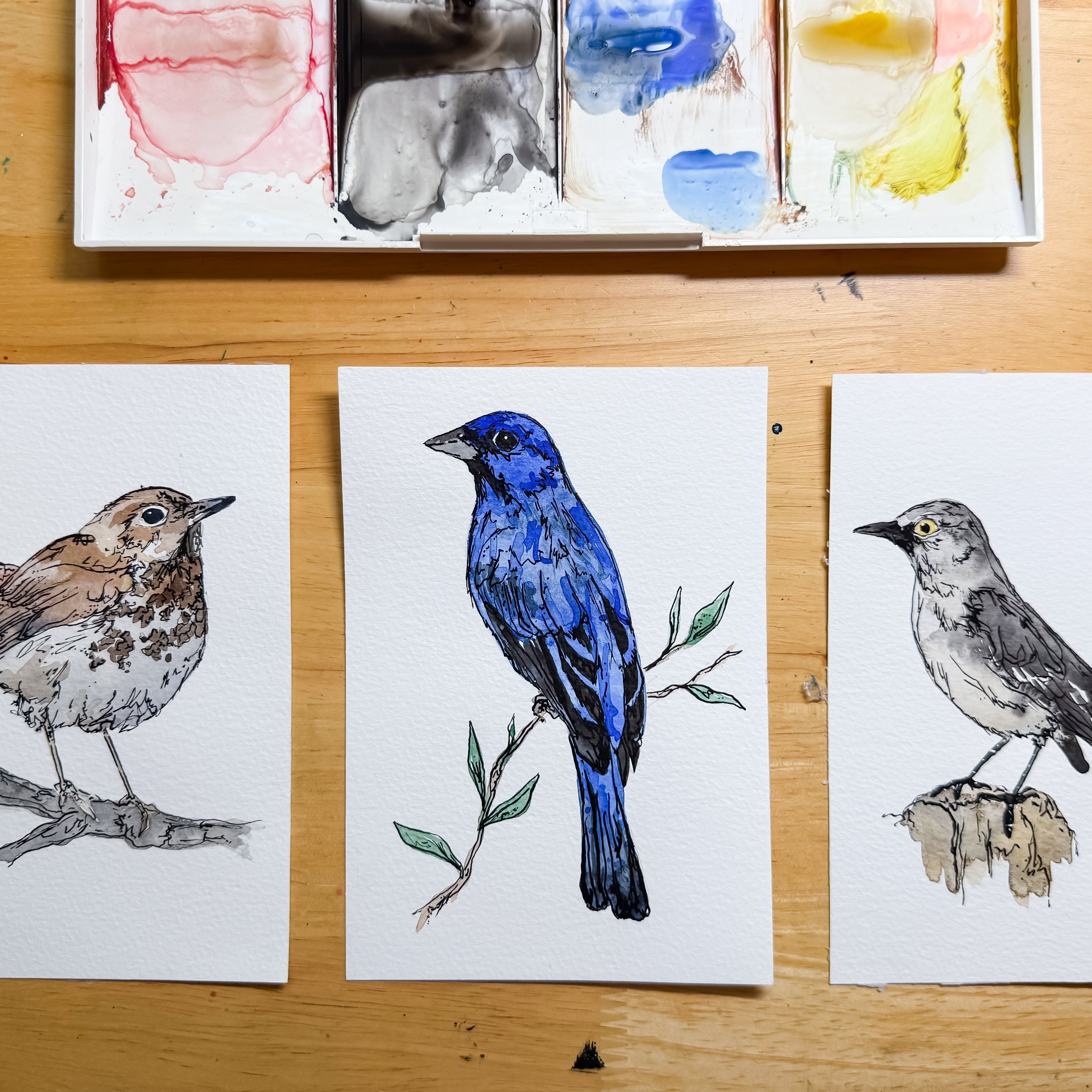 Song Birds artwork