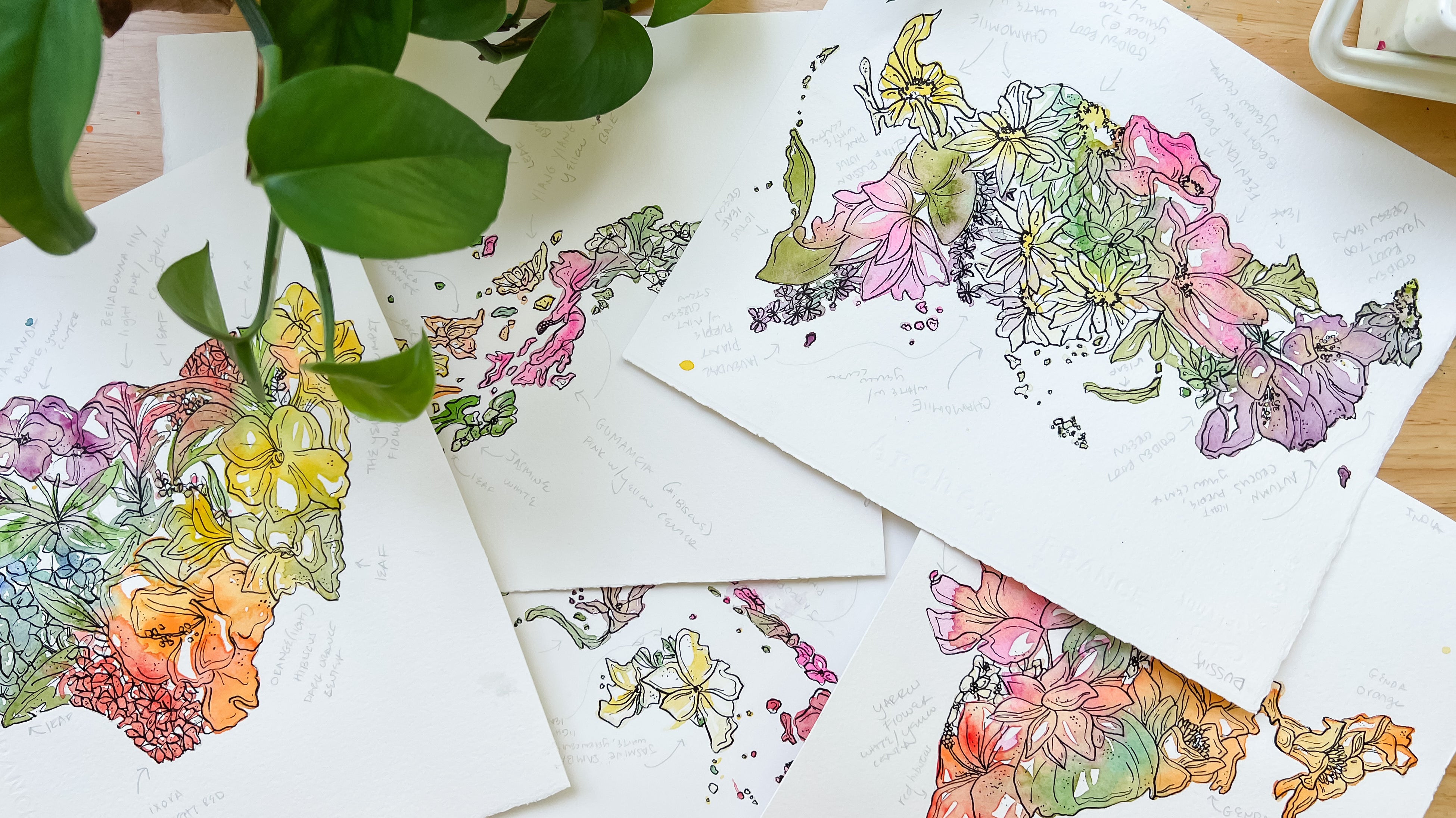 SEPTEMBER: Studio Updates + Happenings