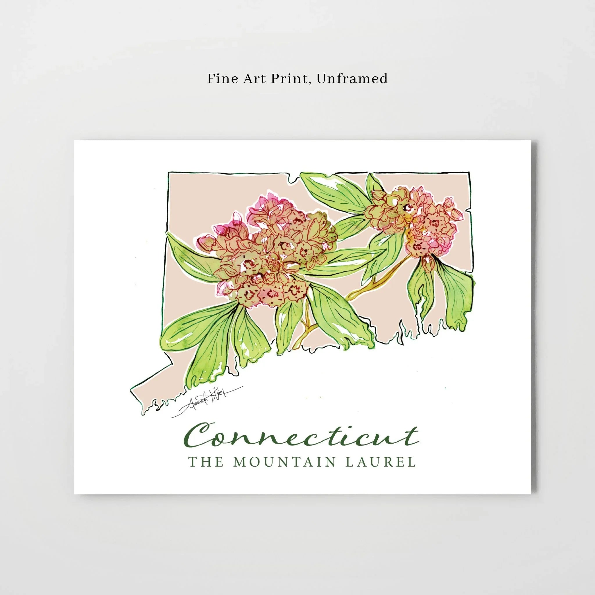 Connecticut state outline with mountain laurel flowers, fine art print, unframed wall decor