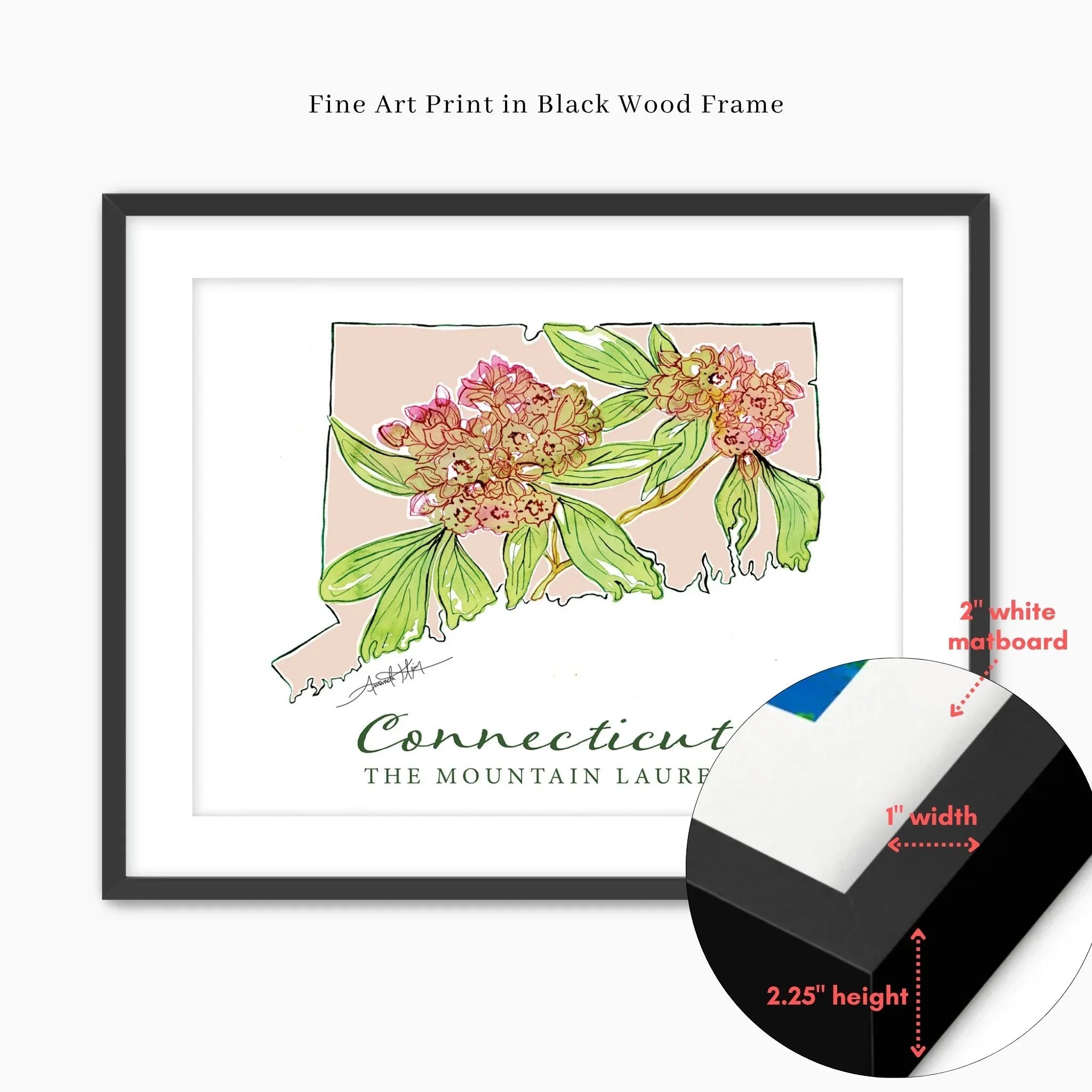 Connecticut state art print with mountain laurel flowers in black wood frame, 2" white matboard