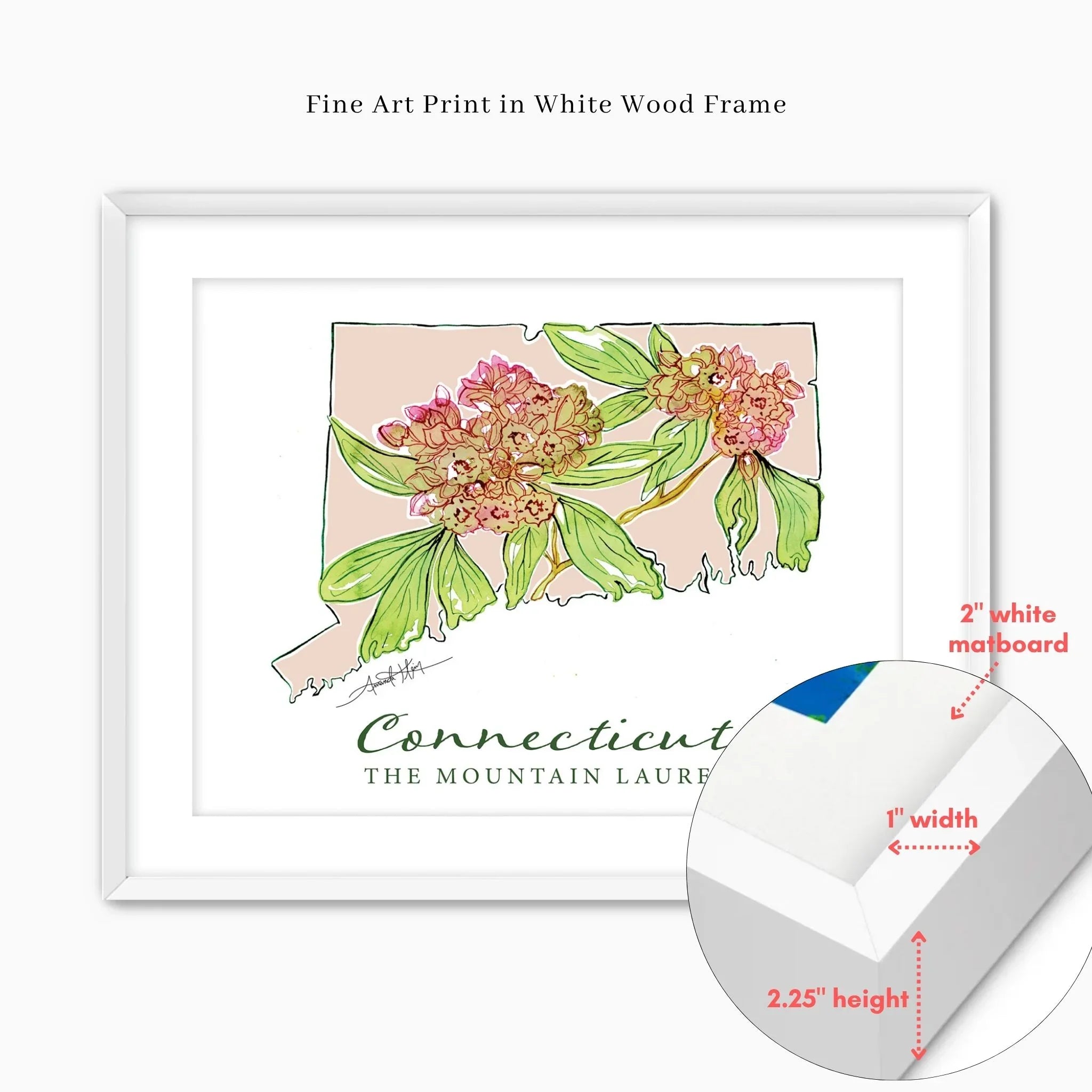 Connecticut state art print with mountain laurel flowers in white wood frame, 2" matboard