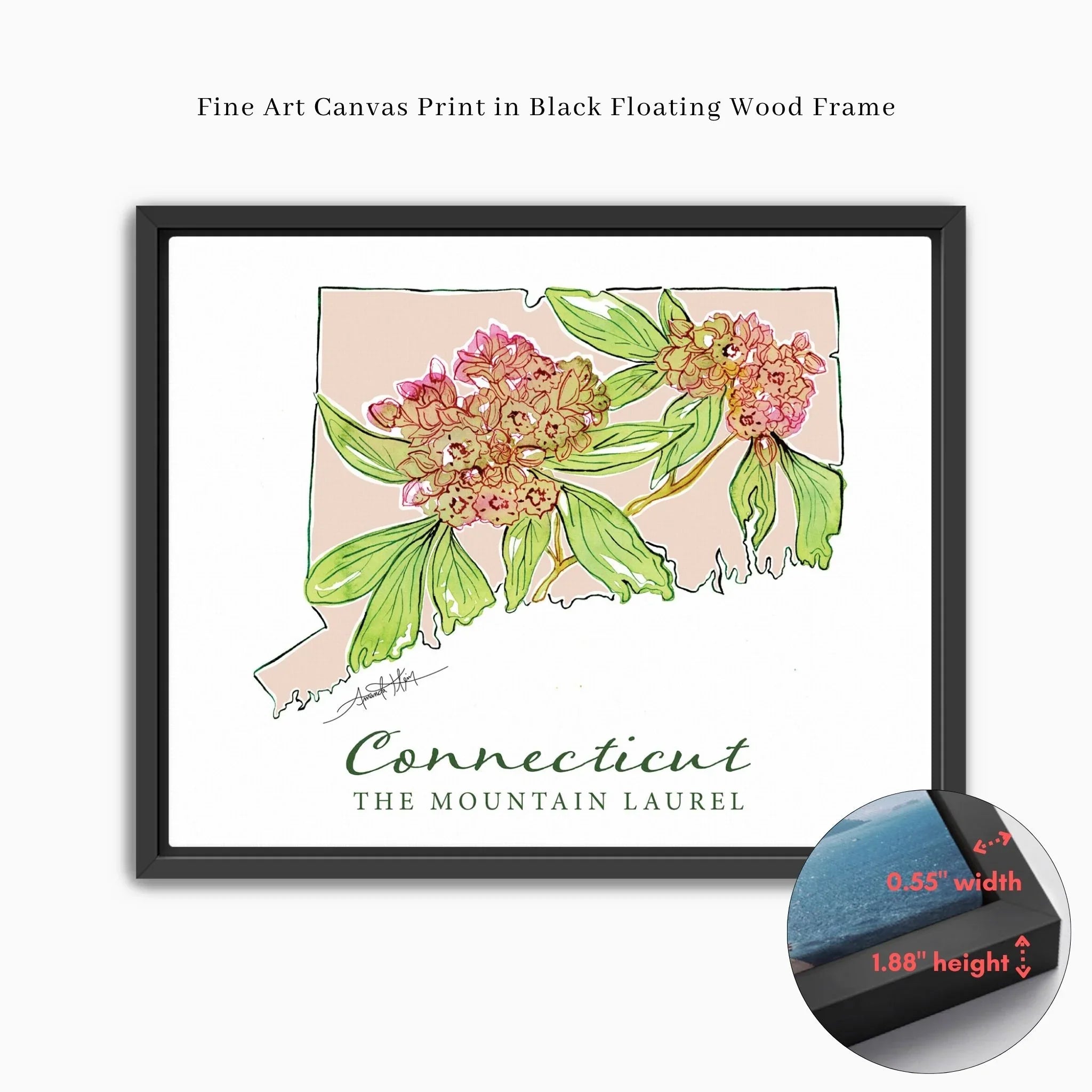 Connecticut state outline with mountain laurel flowers, fine art canvas print in black floating frame