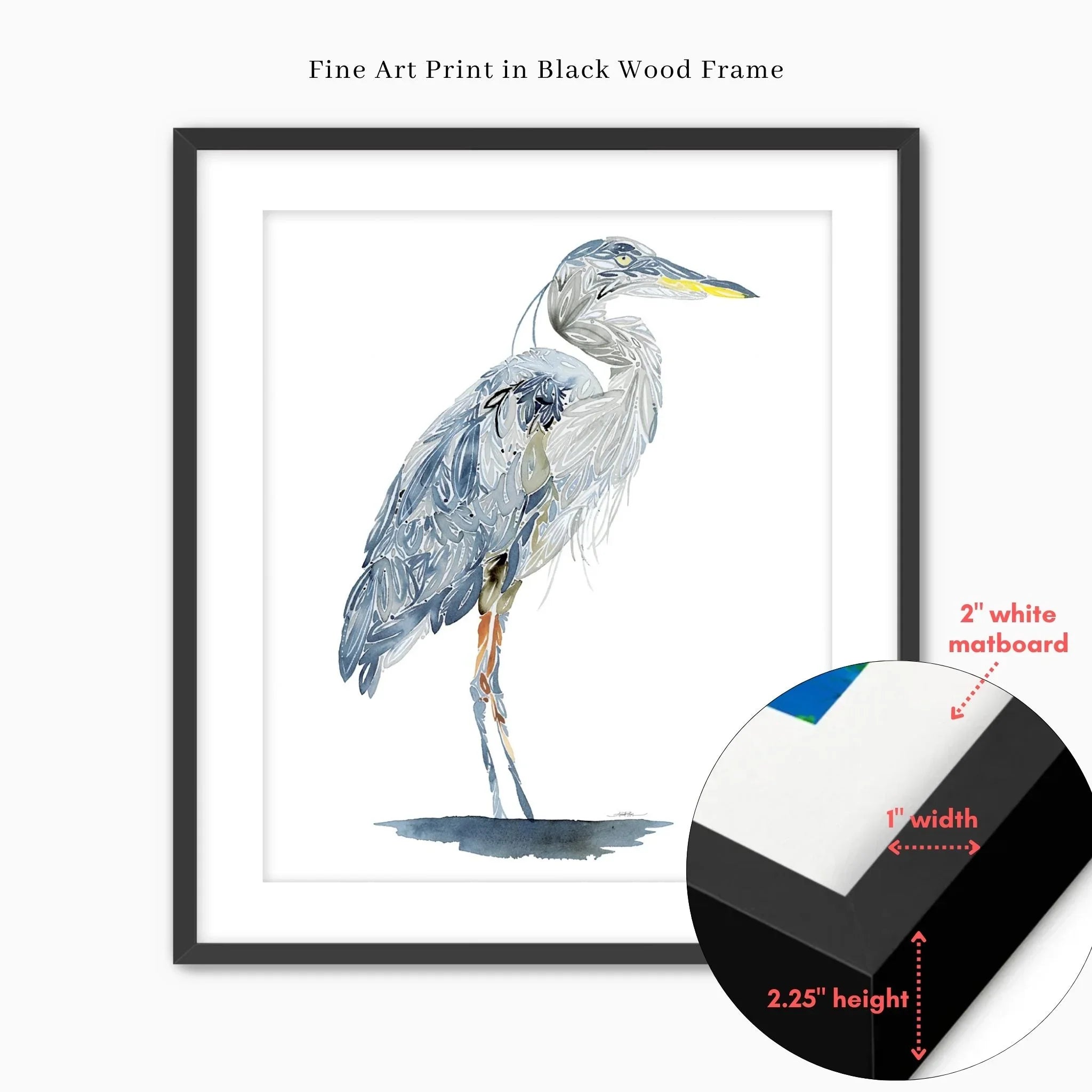 Blue heron fine art print in black wood frame with white matboard