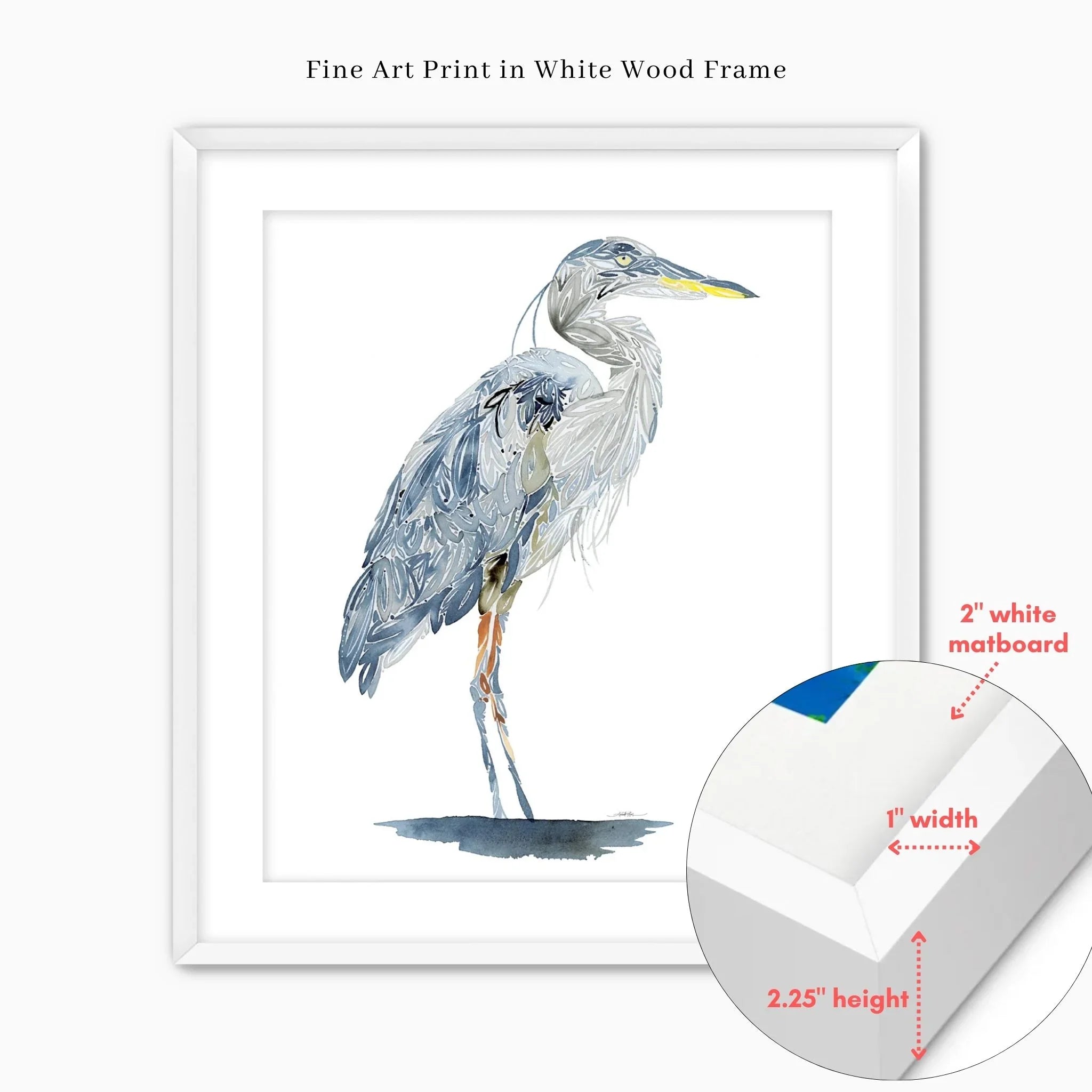 Blue heron fine art print in white wood frame with 2-inch matboard