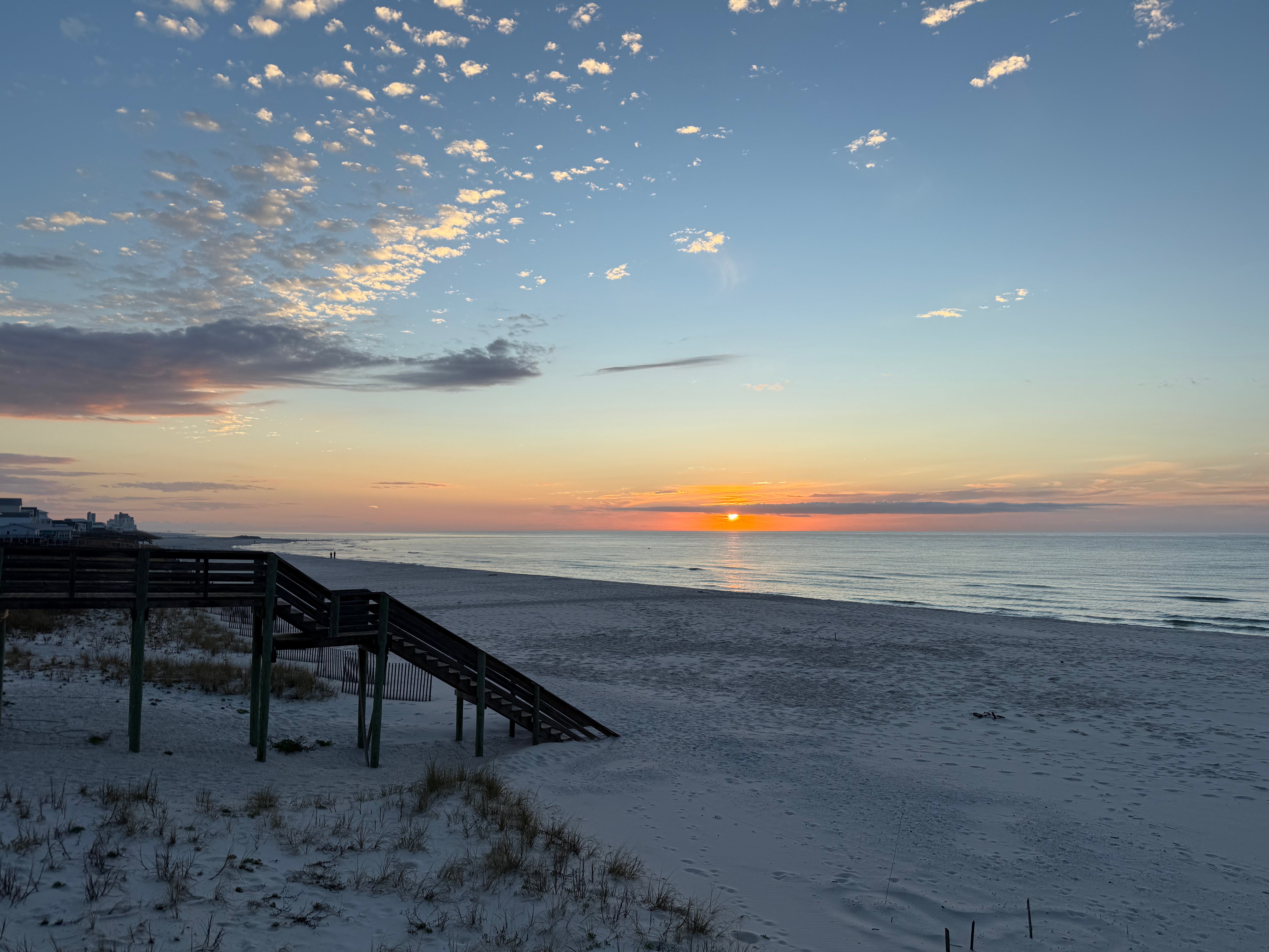 What This Year Asked of Me