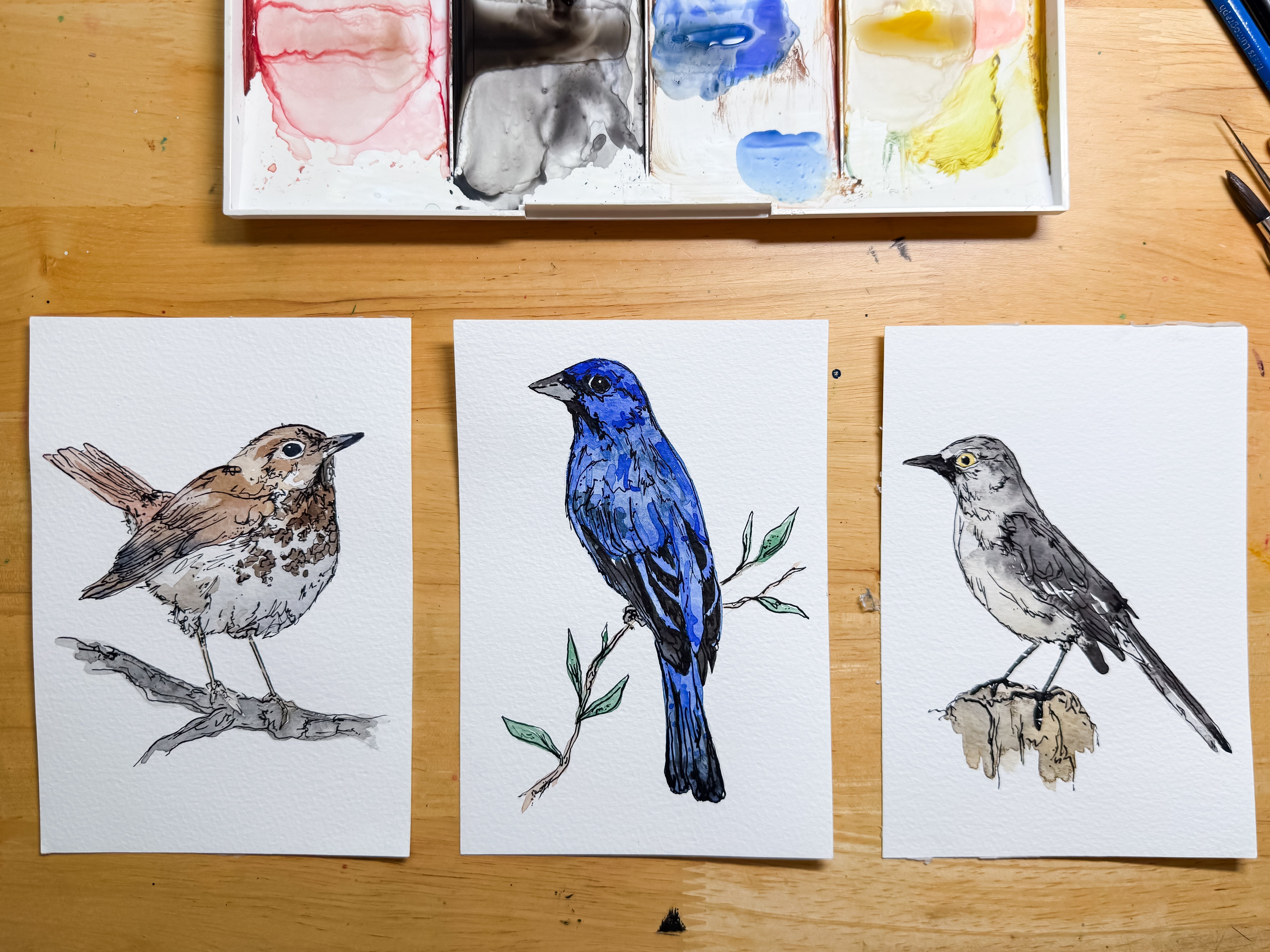 Song Birds artwork