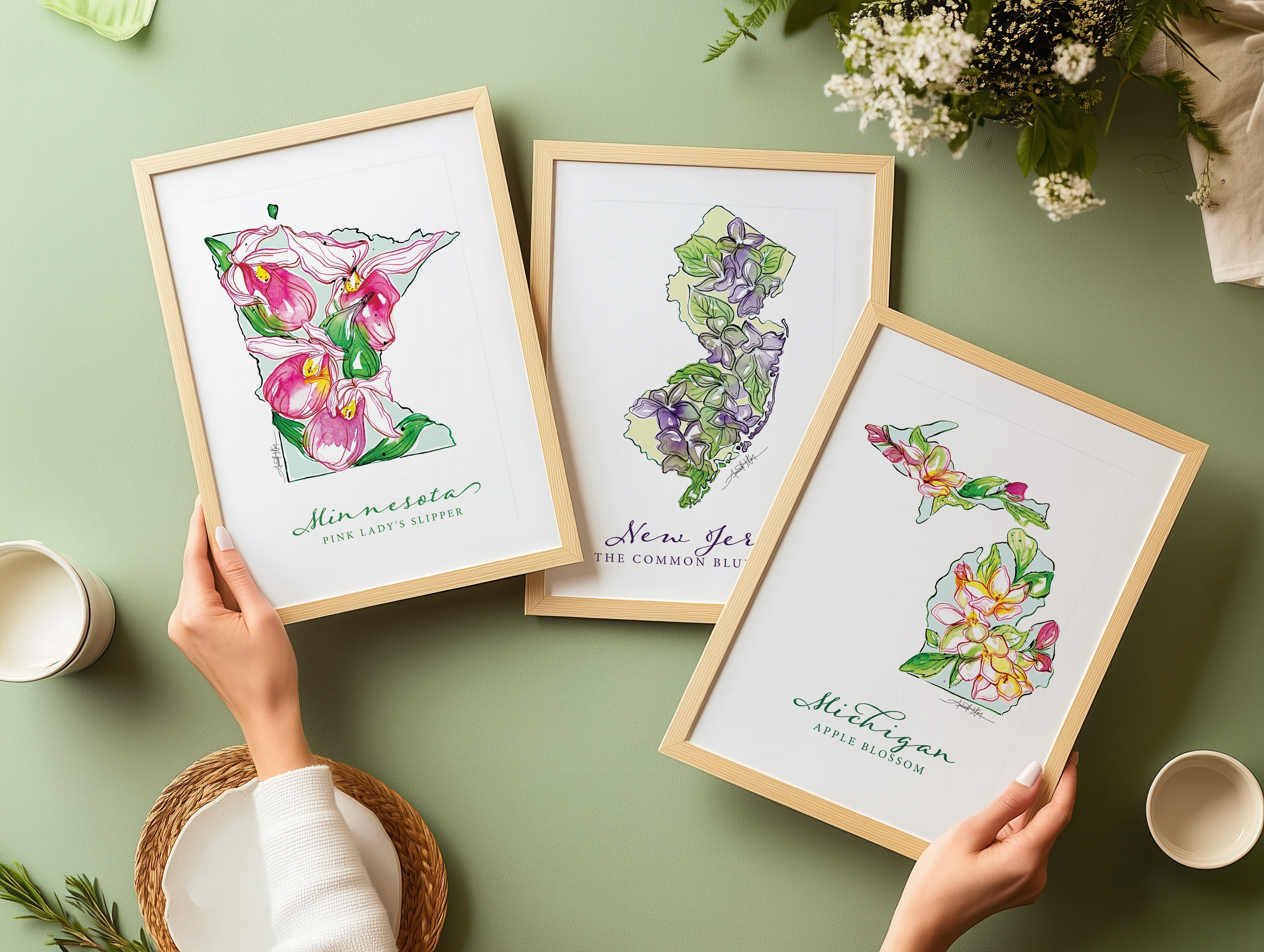 🌼 The Meaning of Every State Flower: A Tribute to All 50 States