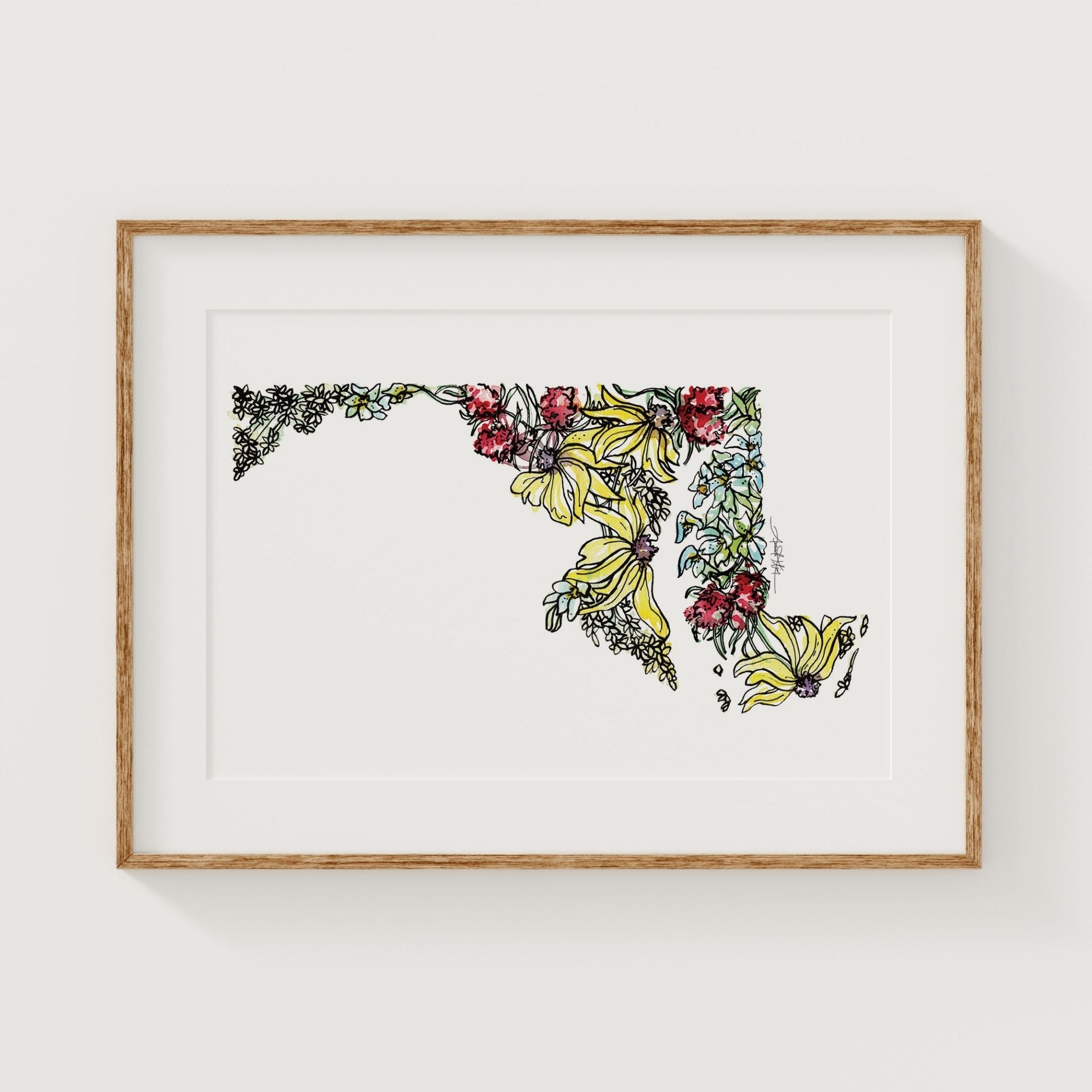 The Maryland Collection