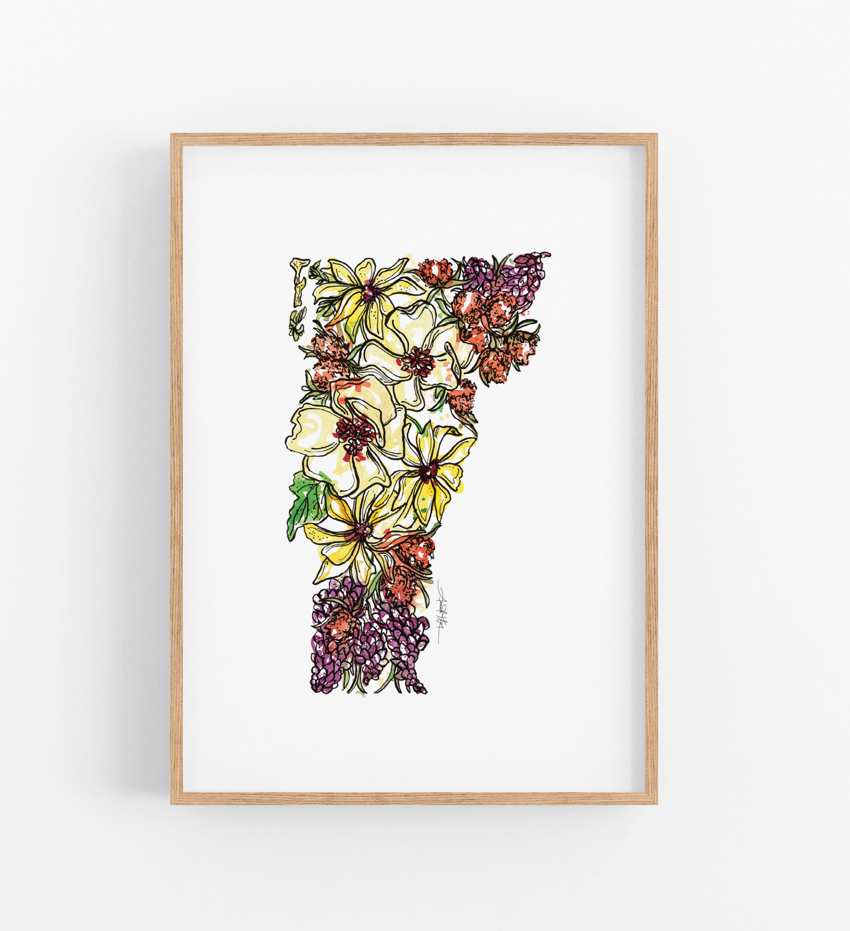 The Vermont Collection