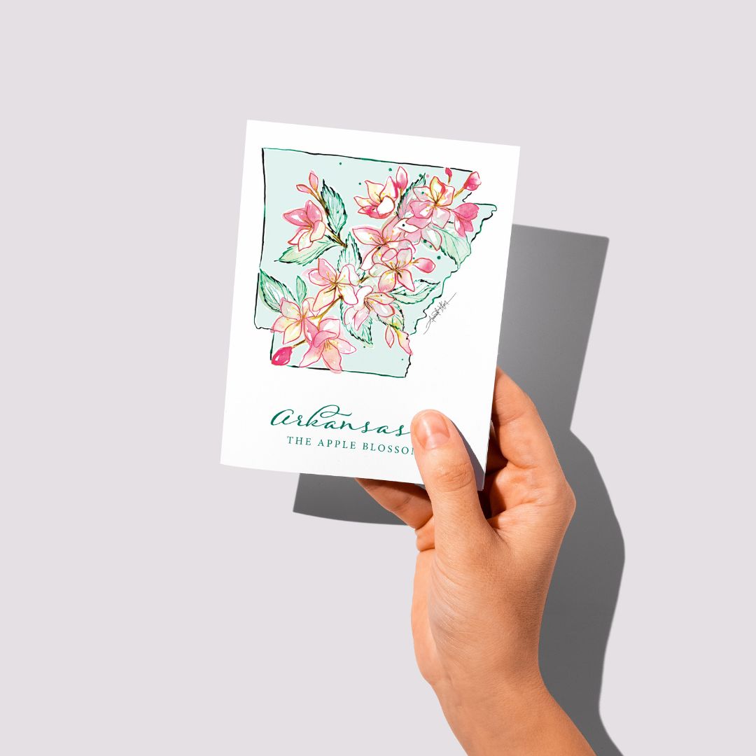 USA 50 States Notecard Box Sets – Amanda Klein