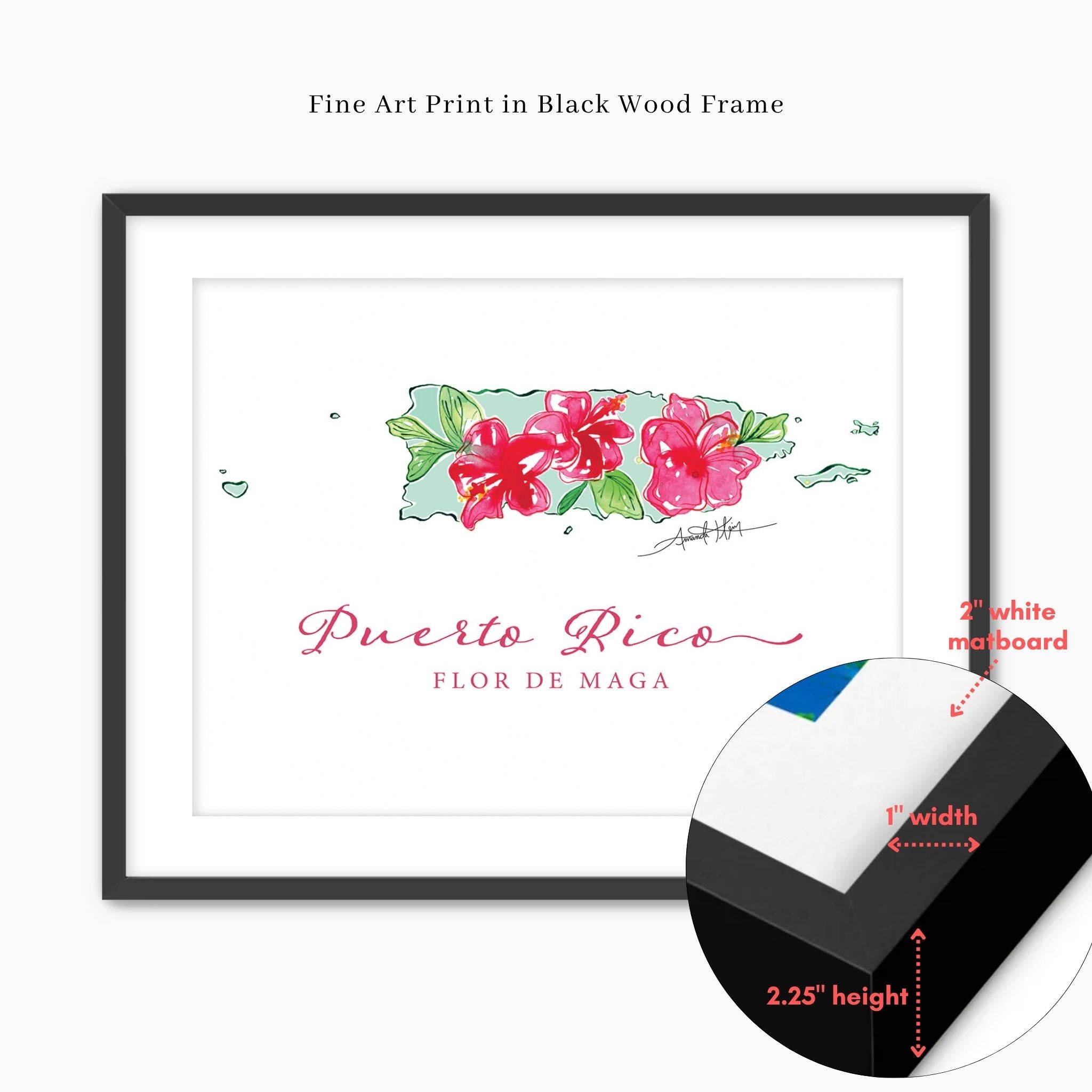 Puerto Rico Flor de Maga National Flower Wall Art | Watercolor 