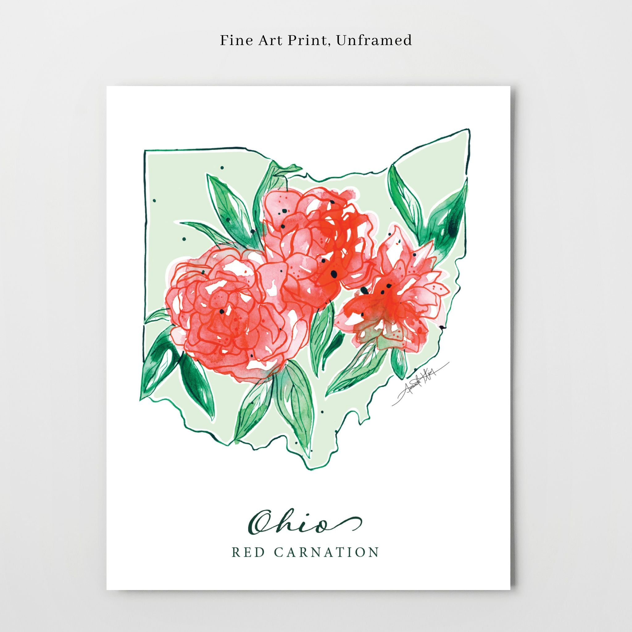 Ohio Red Carnation State Flower Wall Art | Watercolor State Print