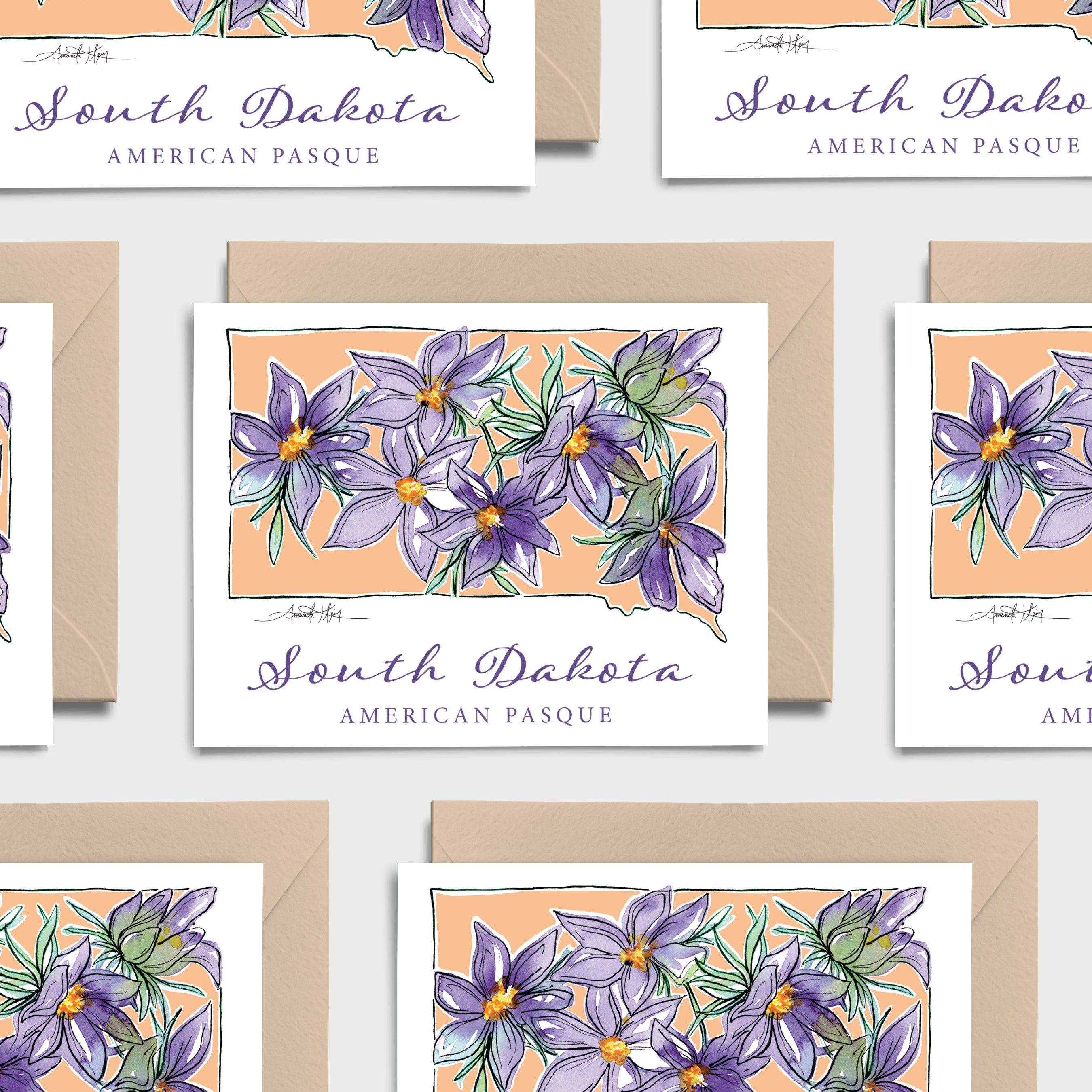 South Dakota American Pasque State Flower Notecard Set – Amanda Klein