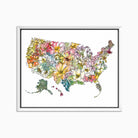 Framed artwork of a colorful floral map of the United States on a white background